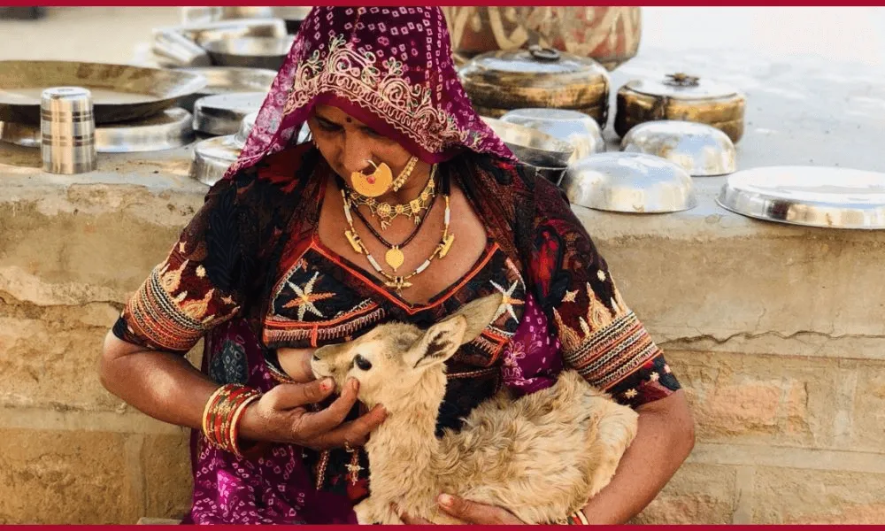 Traditional Bishnoi Jhopda Mud Hut Home Architecture Jodhpur