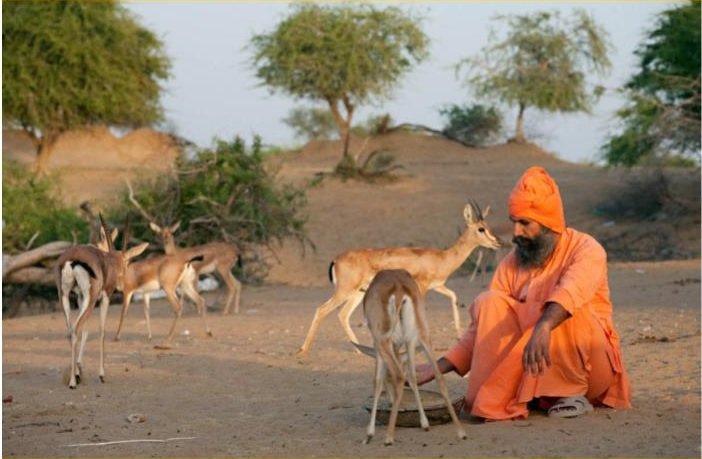 Bishnoi Village Safari Living 29 Niyam Jodhpur Culture