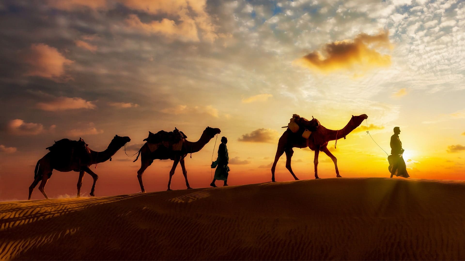 Osian Desert Safari Golden Sand Dunes Rajasthan