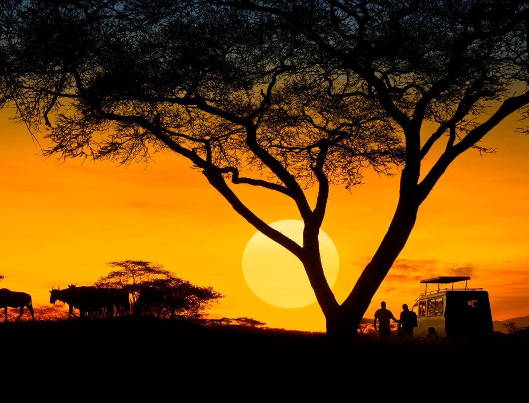 Traditional Villages of Rajasthan Cultural Landscape