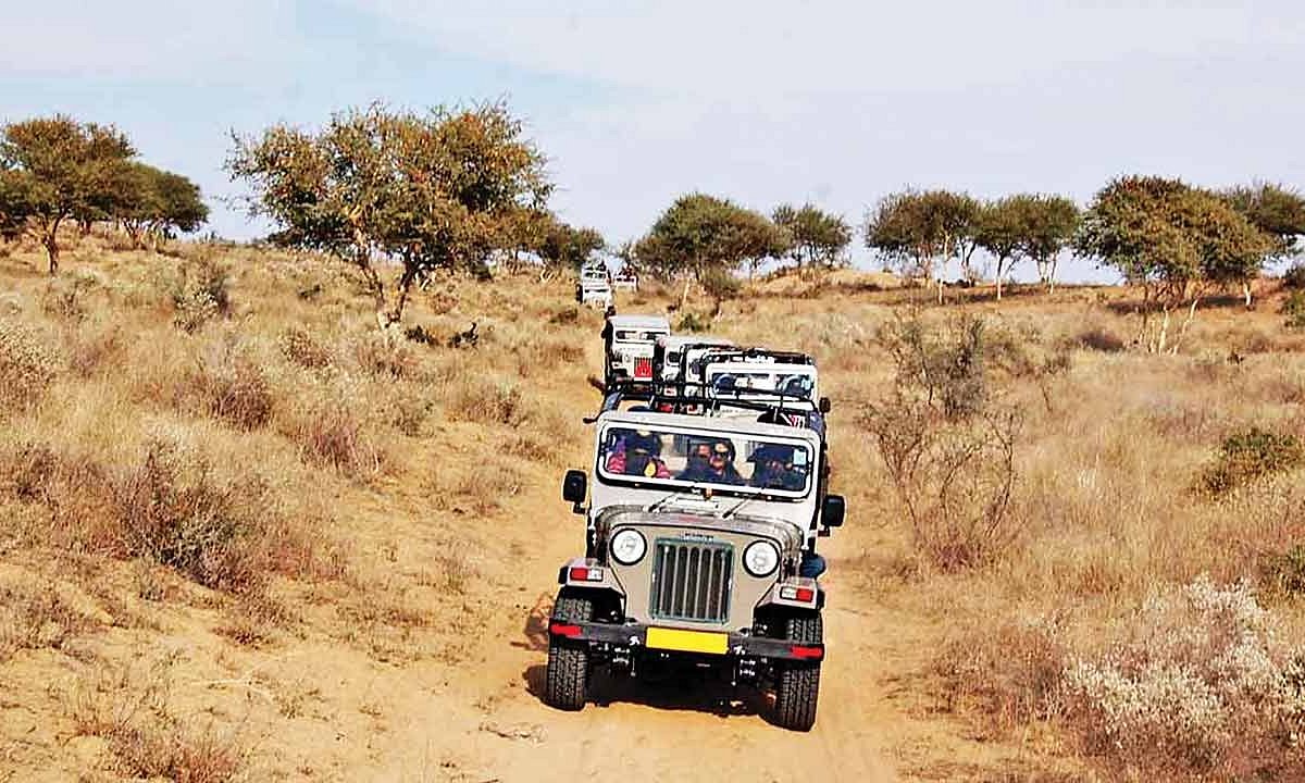 Ethical 4x4 Jeep Safari Bishnoi Villages Jodhpur Host Bhagirath